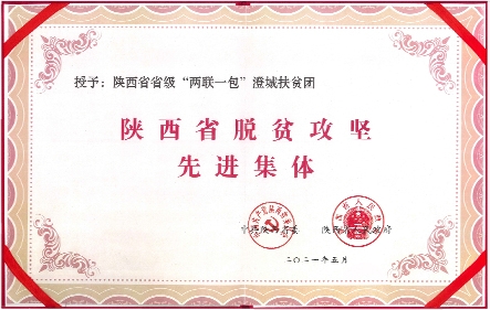 DB�羺(DBGame)�ٷ���վ