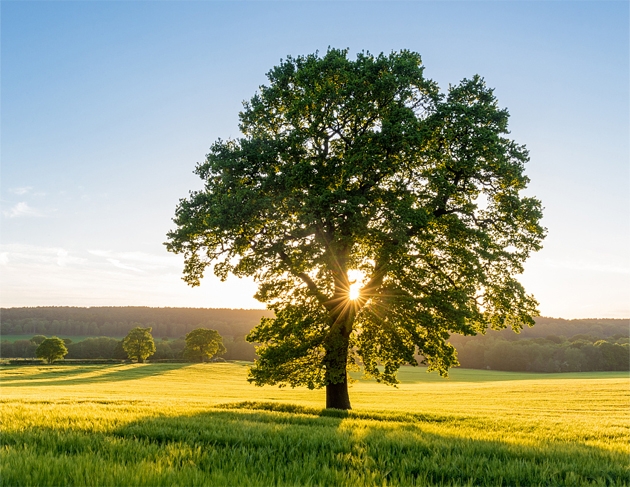 DBµç¾º(DBGame)¹Ù·½ÍøÕ¾