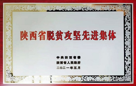 DB�羺(DBGame)�ٷ���վ